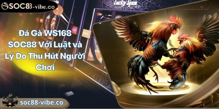 Đá Gà WS168 SOC88 Với Luật và Lý Do Thu Hút Người Chơi