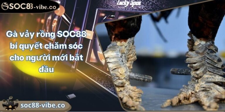 Gà vảy rồng SOC88 bí quyết chăm sóc cho người mới bắt đầu