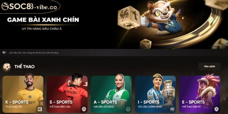 Nghĩa vụ thành viên với điều khoản sử dụng SOC88