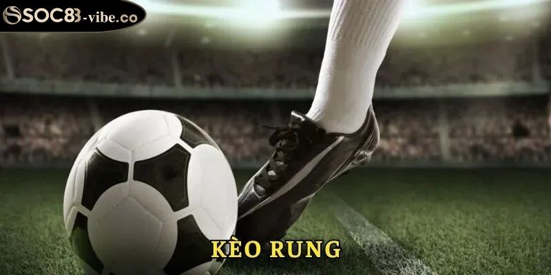 Những nét chính về kèo rung SOC88