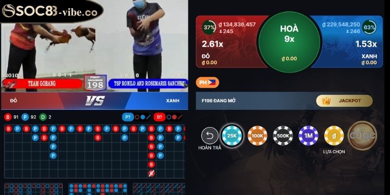 Quy định xử hòa trong đá gà WS168 SOC88