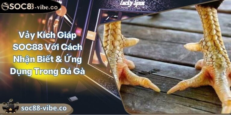 Vảy Kích Giáp SOC88 Với Cách Nhận Biết & Ứng Dụng Trong Đá Gà