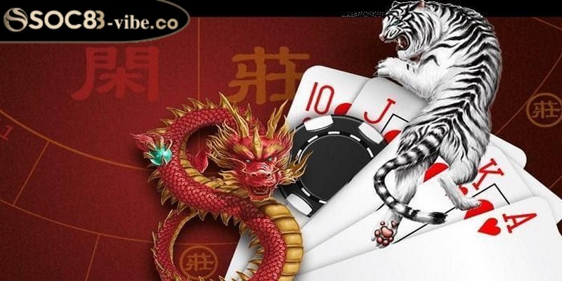 Dragon Tiger còn được biết đến với tên gọi quen thuộc là rồng hổ